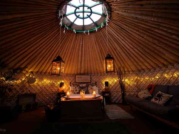 Yurt Daisy