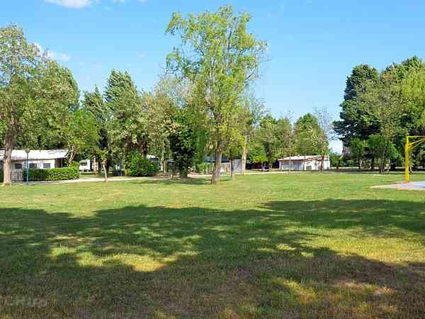 Shaded grass pitches Shaded grass pitches
