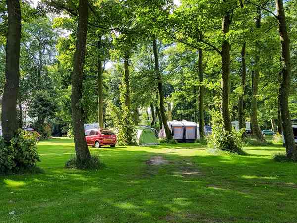 Electric optional grass pitch