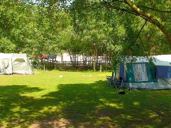 The camping field partially shaded by trees The camping field partially shaded by trees