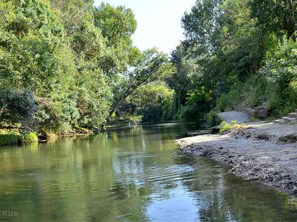 Fully-serviced grass and earth pitch (riverside)