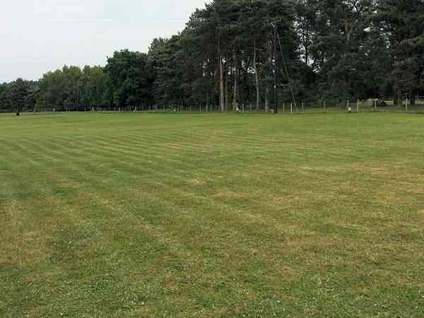 View of the pitches View of the pitches