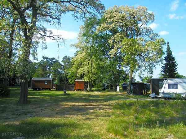 Power optional grass travel trailer site