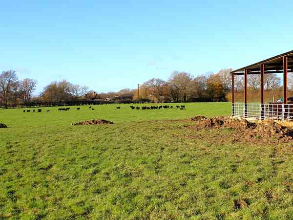Non-electric grass tent or trailer tent pitch