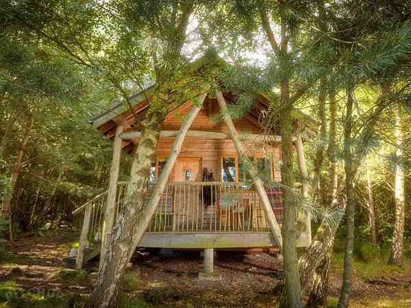 1 bedroom lodge (pet friendly, woodland)