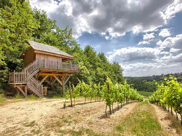 Treehouse with vineyard views Treehouse with vineyard views
