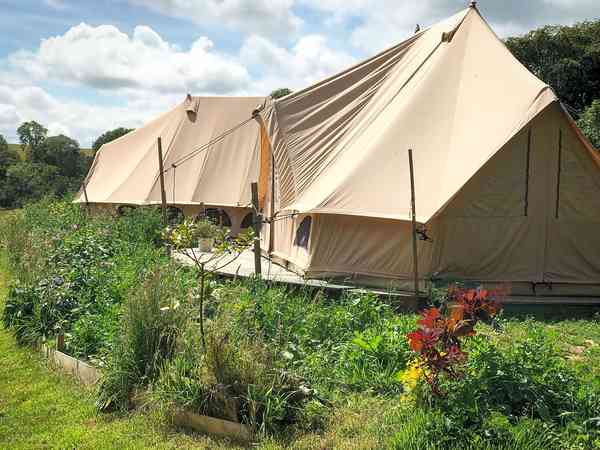 Cornflower Luna bell tent