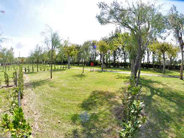 Electric grass pitch (XL)