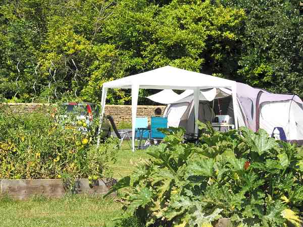 Emplacement sur herbe avec électricité (premium)