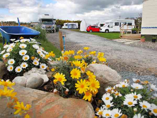 Electric grass pitch