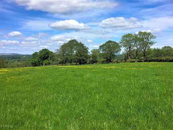Pole Meadow non-electric grass tent pitch