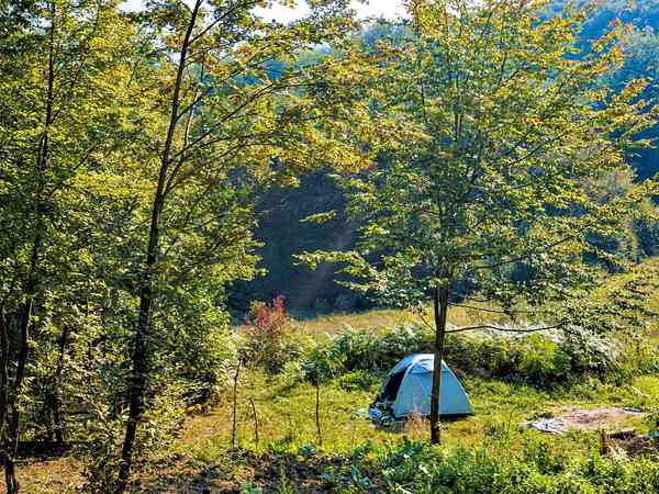 Unpowered grass and earth tent site
