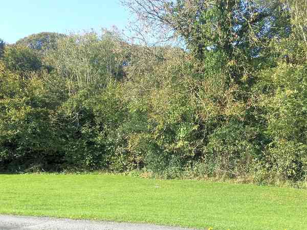 Emplacement pour tente ou pour caravane pliante sur herbe sans électricité