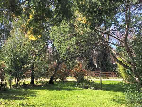 Emplacement sur herbe et sur sol en terre avec électricité optionnelle