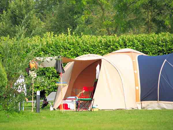 Electric optional grass tent, trailer tent or touring caravan pitch