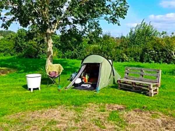 Non-electric grass tent pitch