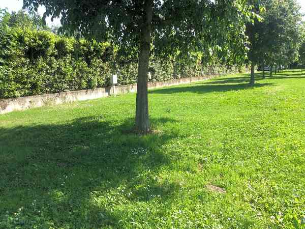 Electric grass pitch