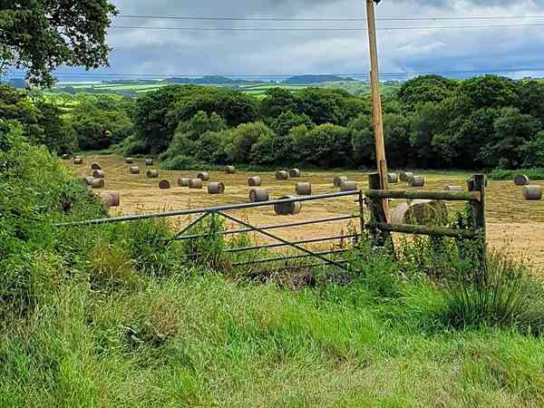 Rural views Rural views