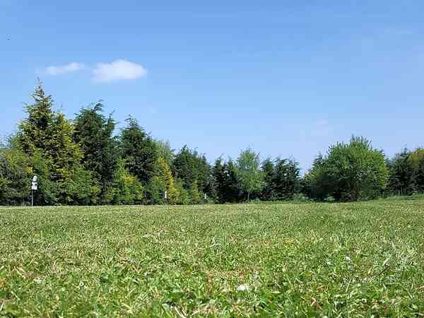 Spacious field with electric hook-ups and lighting Spacious field with electric hook-ups and lighting