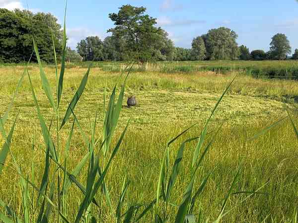 Non-electric grass and earth tent pitch