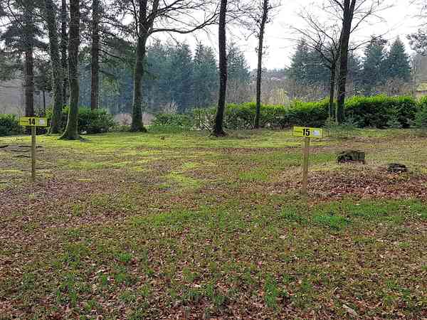 Powered forest floor site