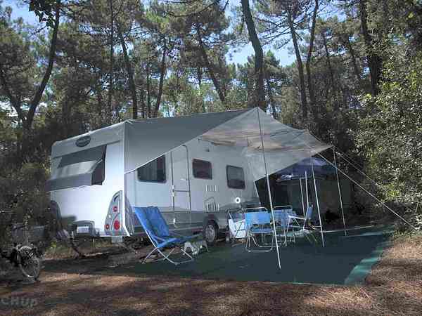 Electric forest floor pitch (comfort)