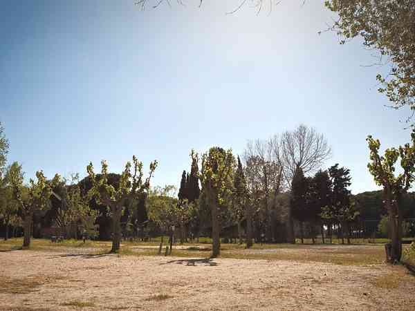 Spacious pitches Spacious pitches