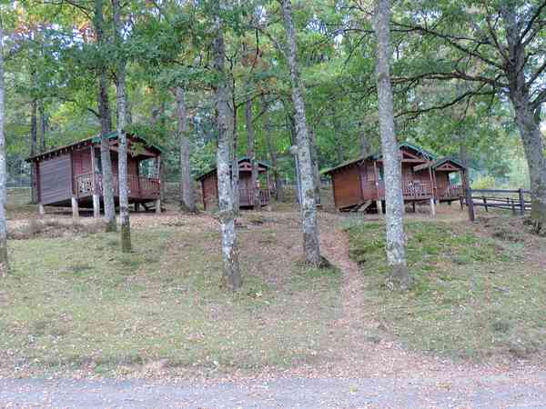 Lodges under the trees Lodges under the trees