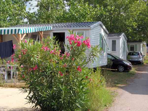 Mobil-home Super Vénus 2 chambres