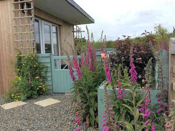 Cabane de berger Hedgerow (jacuzzi)