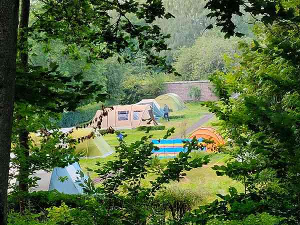 Minto View non-electric forest floor tent pitch (small, wild, woodland)