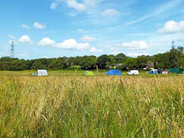 Non-electric grass pitch