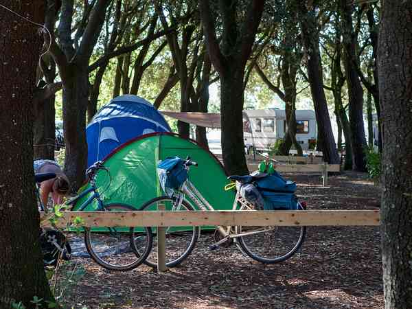 Bikes on site Bikes on site