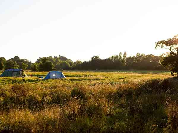 Donnington Wild Camping Chichester Updated 2022 Prices Pitchup
