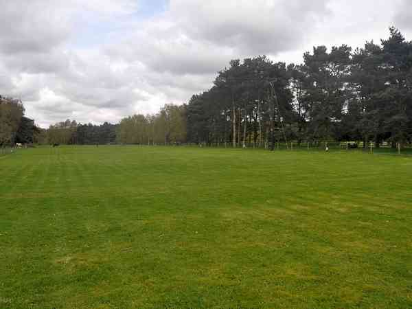 Spacious grassy pitches Spacious grassy pitches