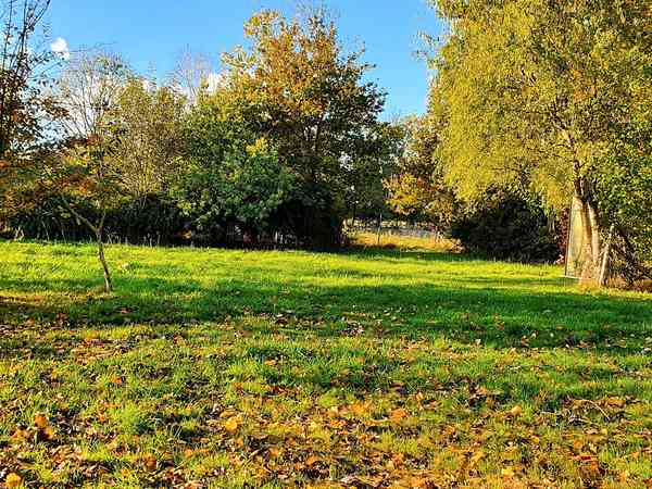 Emplacement sur herbe avec électricité optionnelle