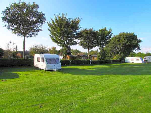 Electric grass pitch