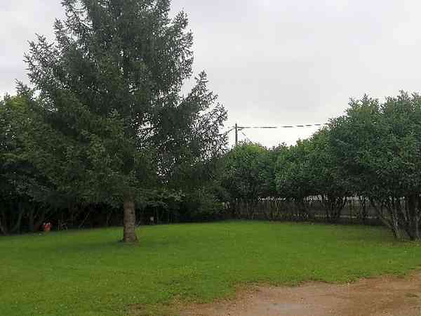 Non-electric grass pitch