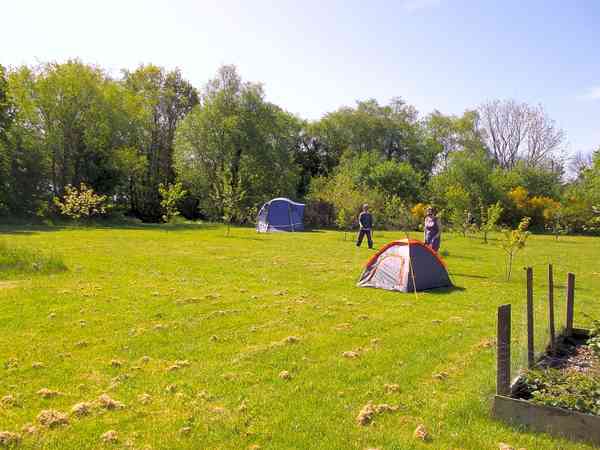 Emplacement pour tente ou pour caravane pliante sur herbe sans électricité