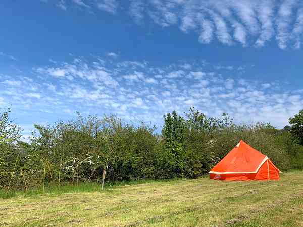Tienda piramidal The Big Orange