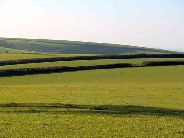 Non-electric grass tent or motorhome pitch