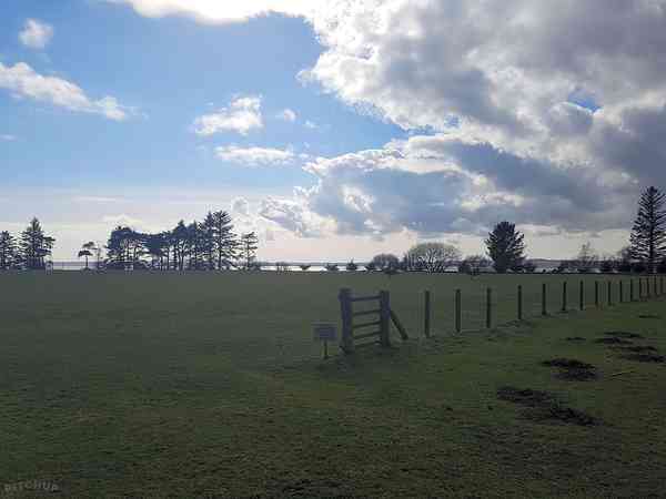 View across the site View across the site