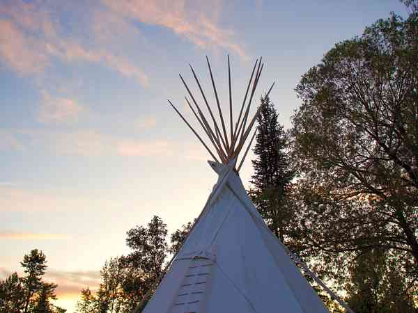 Maple tipi