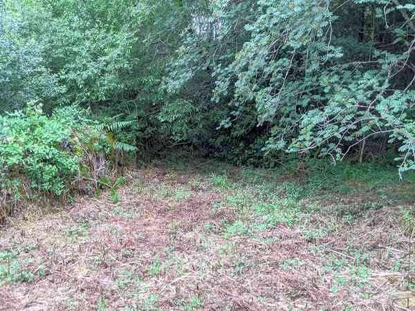 Non-electric tent pitch