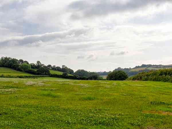 Non-electric grass tent pitch