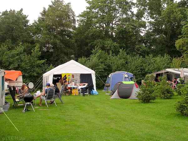 Neat pitches with lots of greenery Neat pitches with lots of greenery