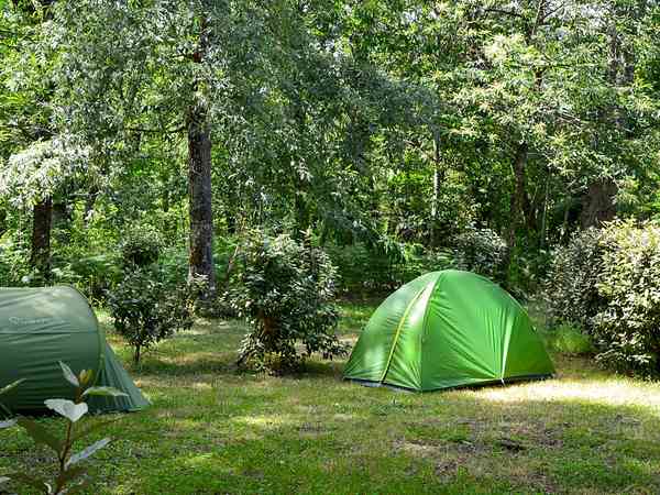 Electric grass motorhome pitch