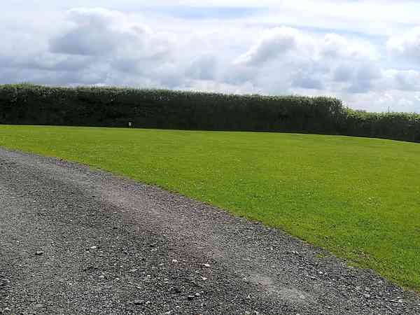 Front field Front field