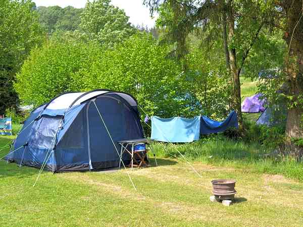 Spacious grass pitch Spacious grass pitch