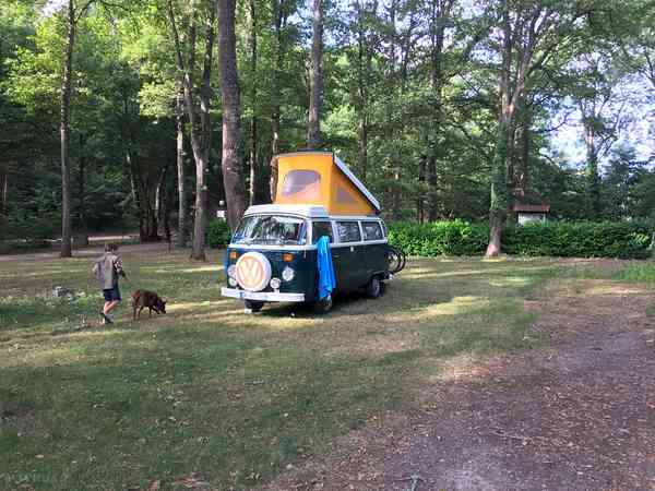 Electric grass tent pitch